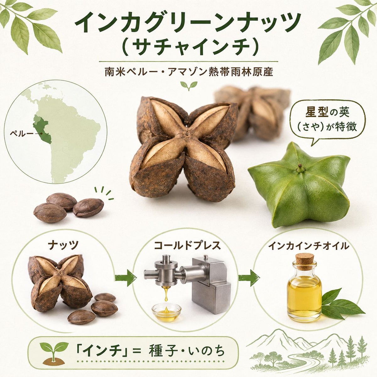 インカインチオイル 105g