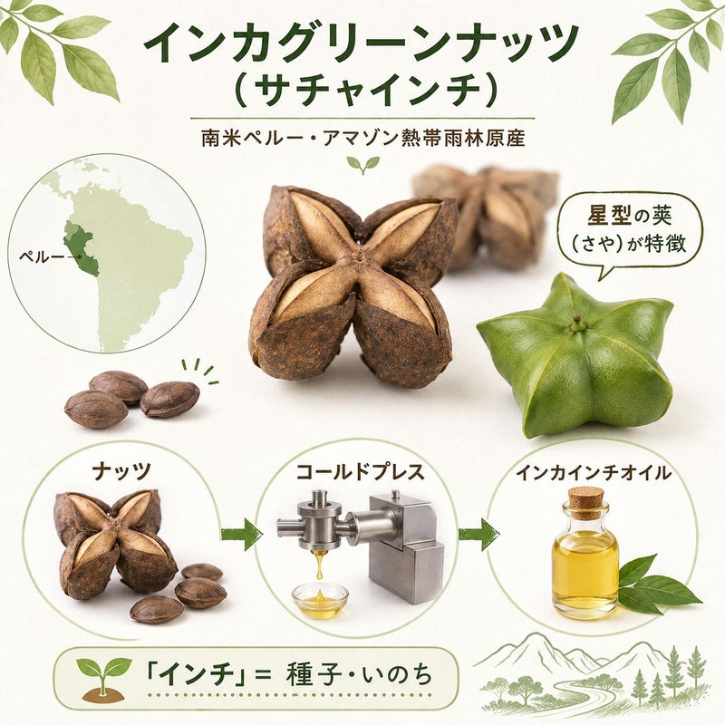 インカインチオイル 105g