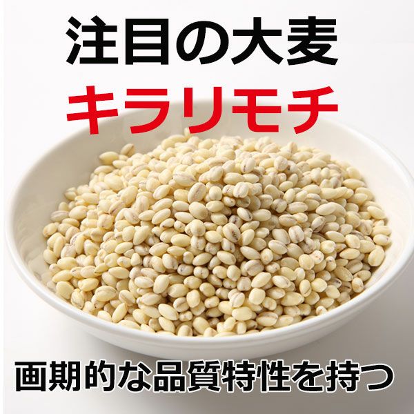 キラリモチ もち麦くん 美作市｜こだわり商品研究所