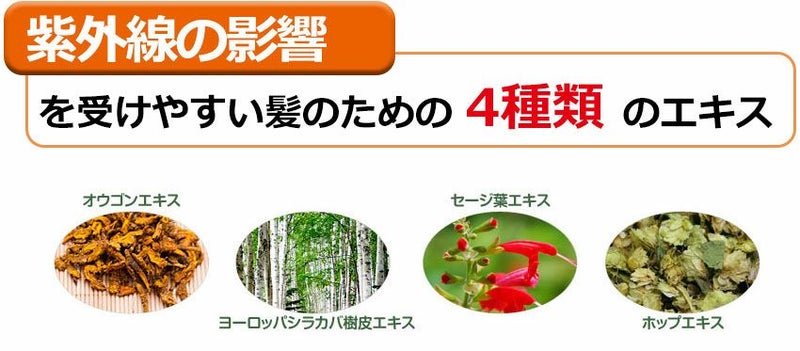 ブラック・ナチュラル・ヘアソープ