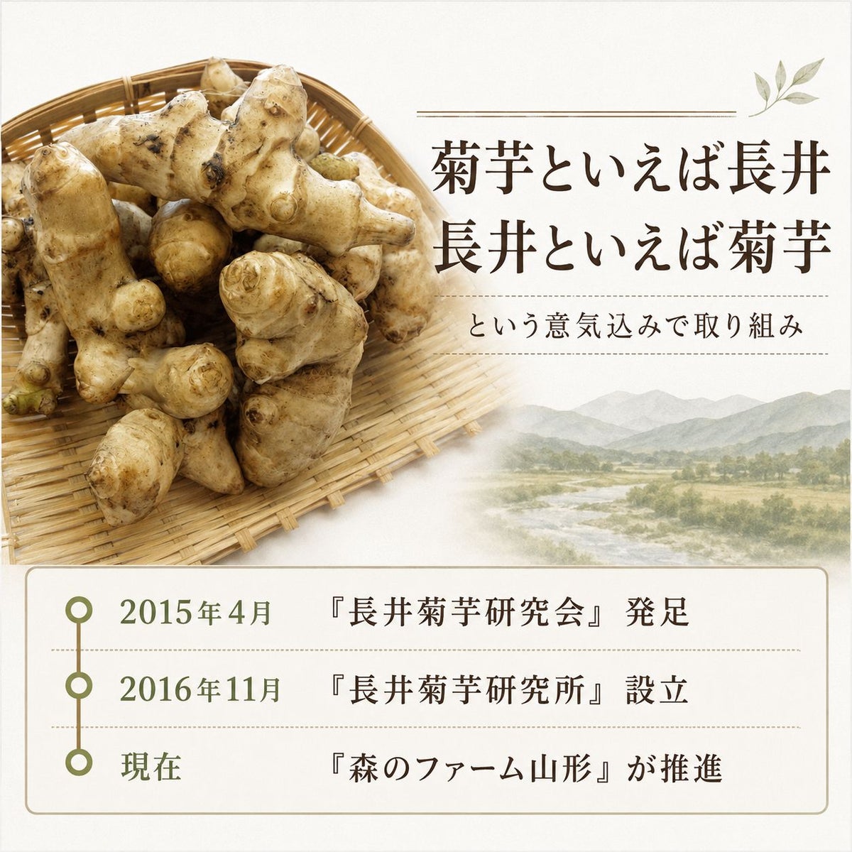 長井菊芋研究所　きくいも粉末