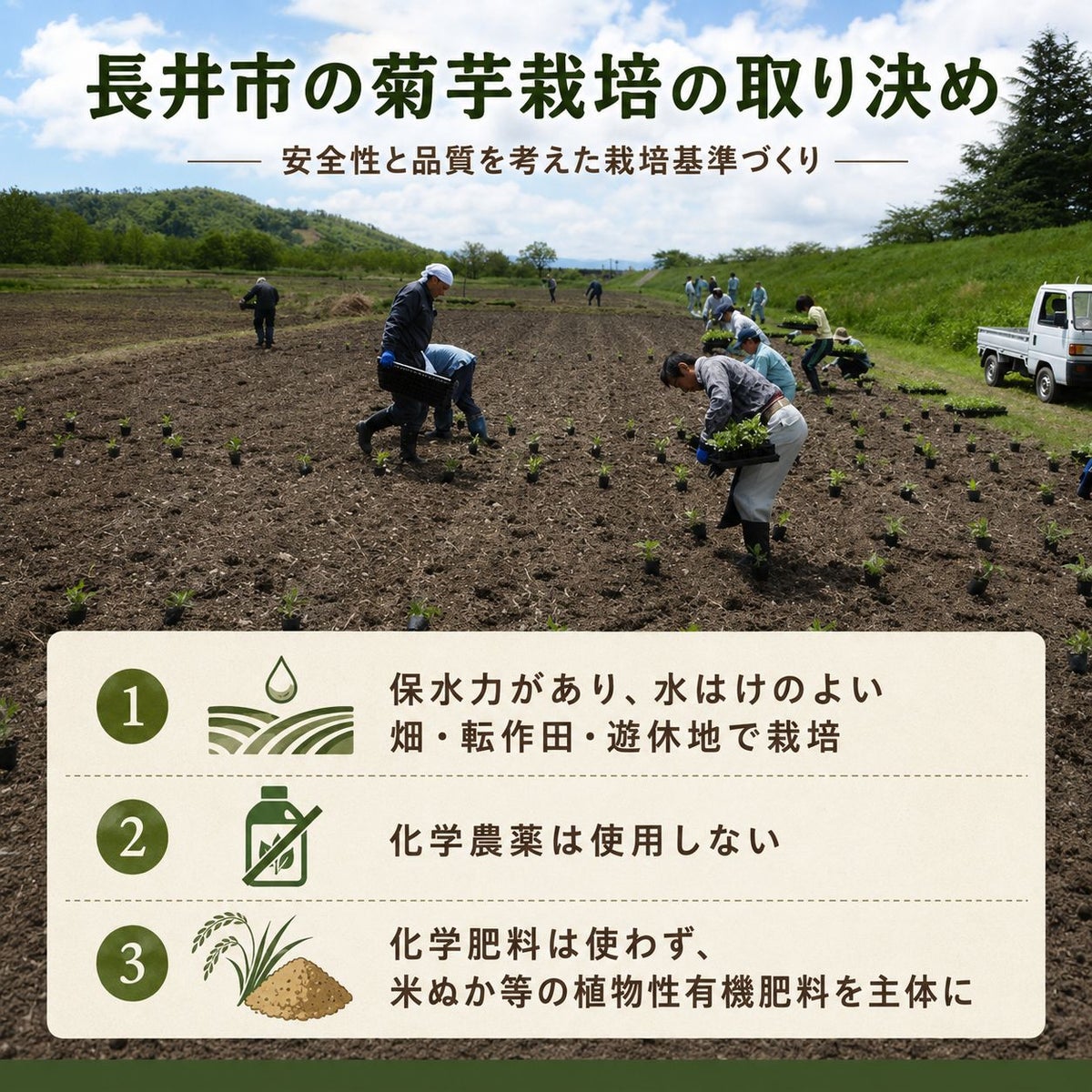 長井菊芋研究所　きくいも粉末