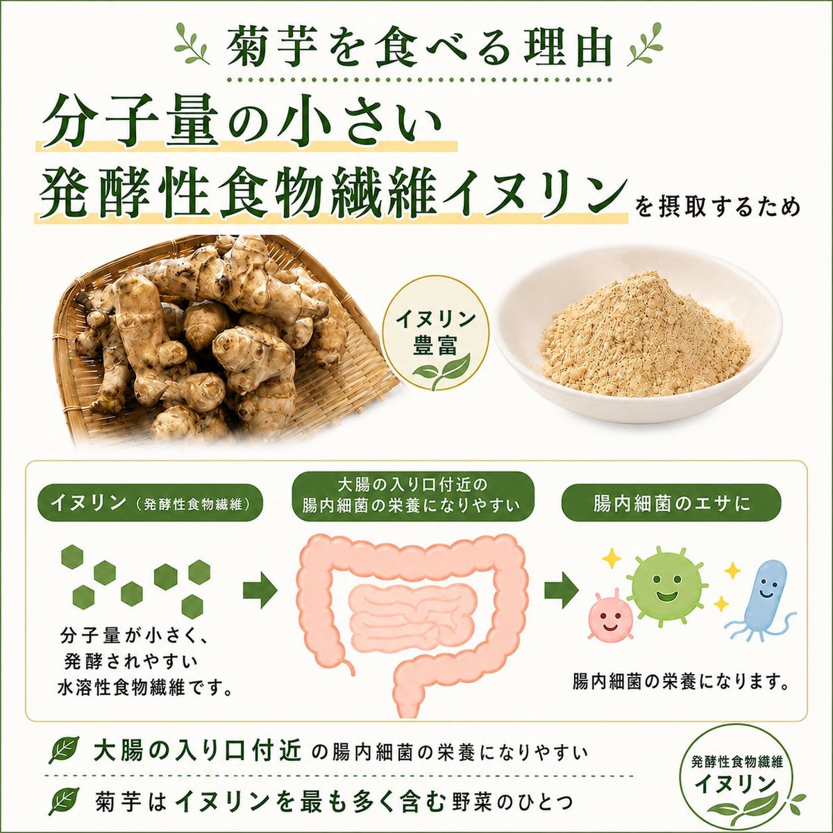 長井菊芋研究所　きくいも粉末