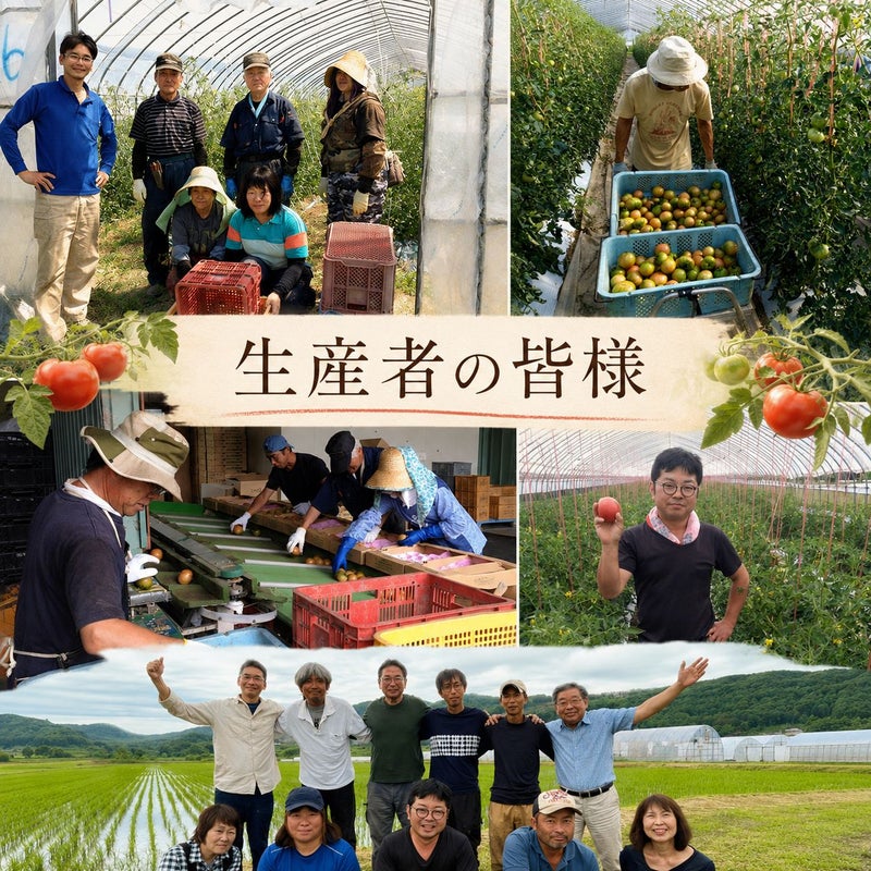 北海道当麻町産 有機トマトジュース（王様トマト・無塩）