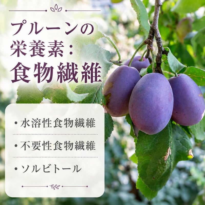 プルーンエキス