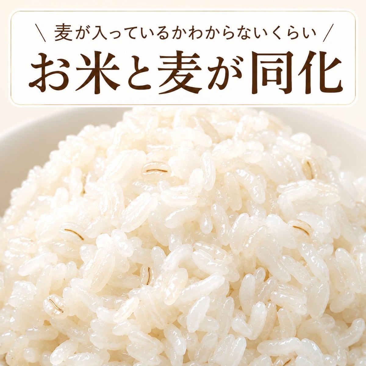 永倉精麦　国内産もち麦 米粒麦