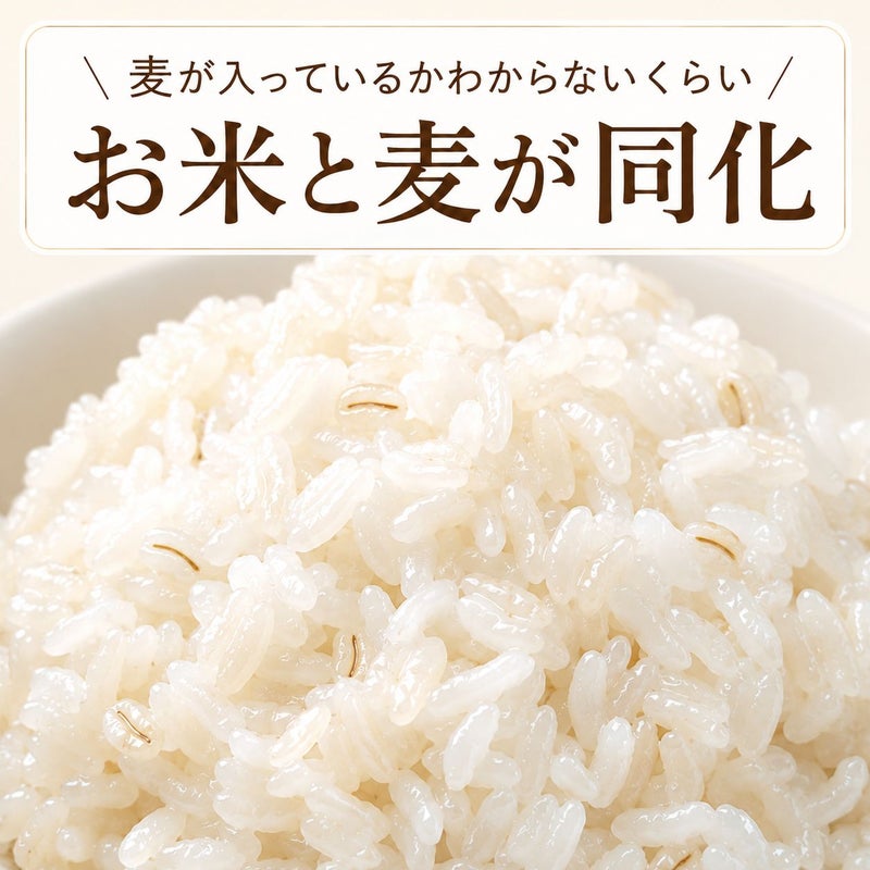 永倉精麦　国内産もち麦 米粒麦