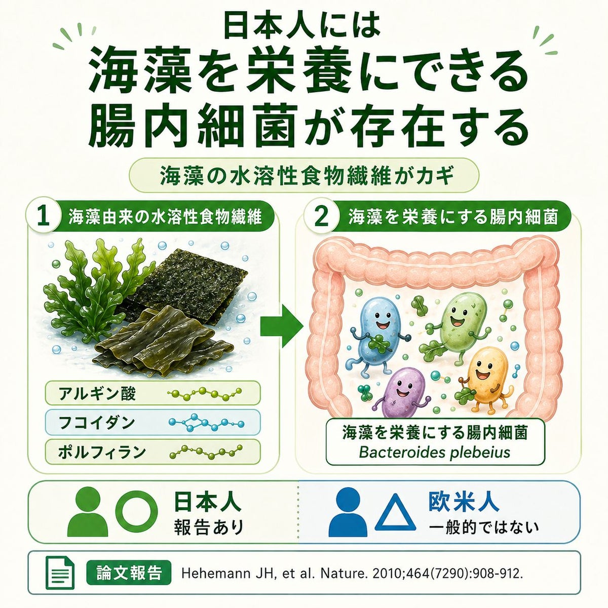 漁師のまかない海苔