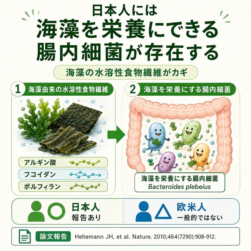 漁師のまかない海苔