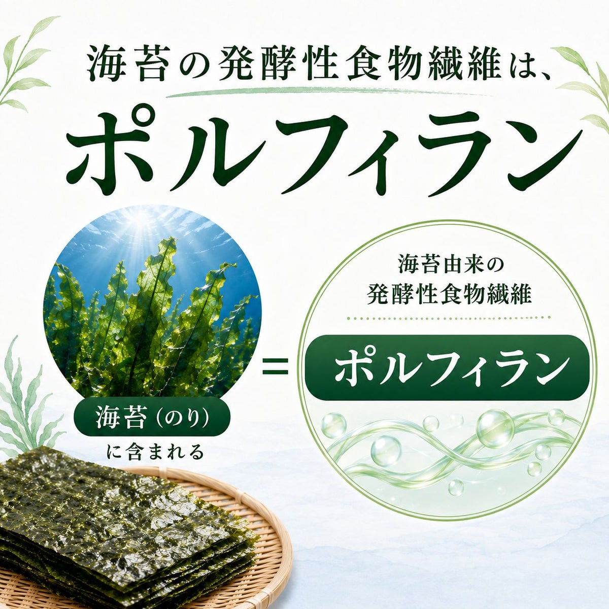 漁師のまかない海苔