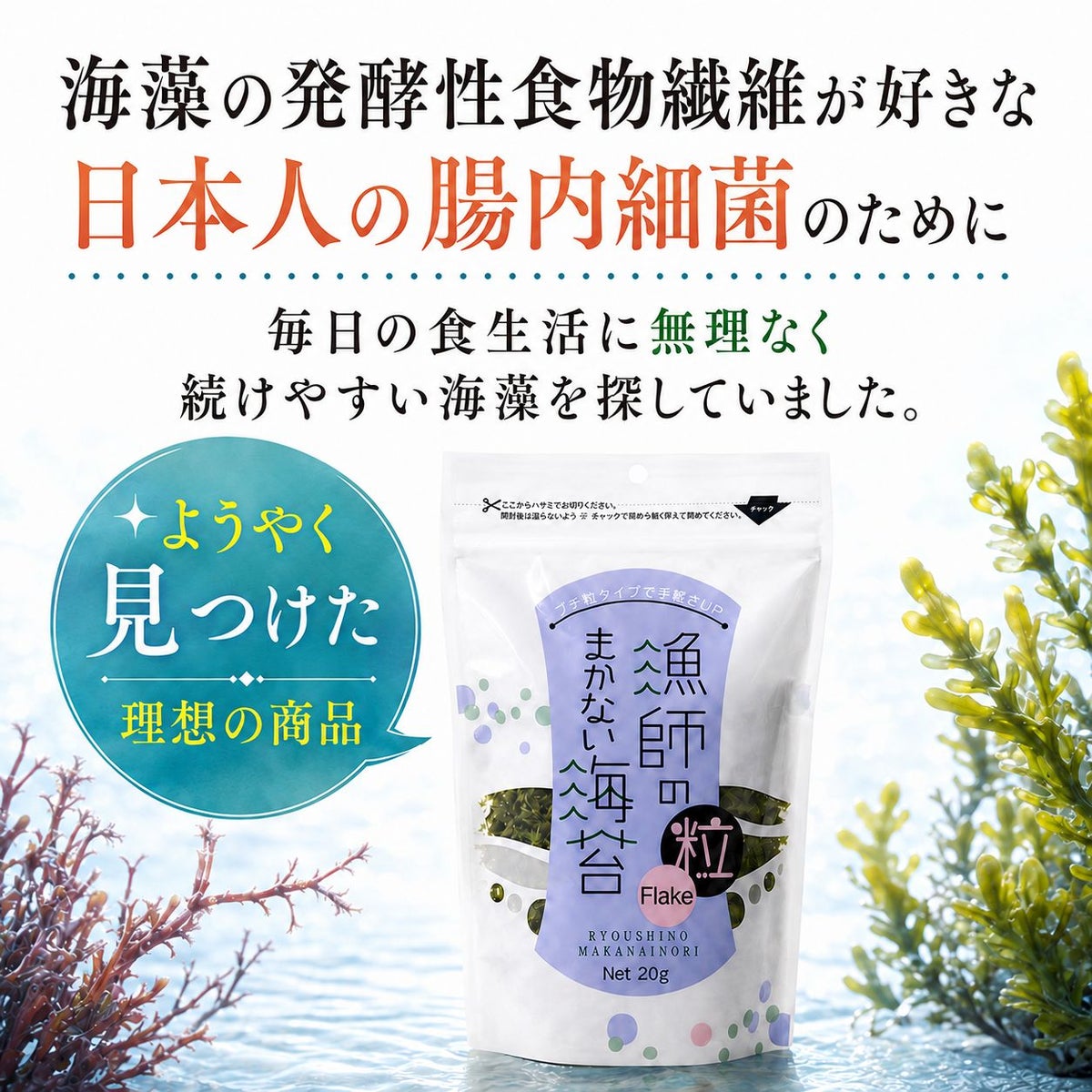 漁師のまかない海苔