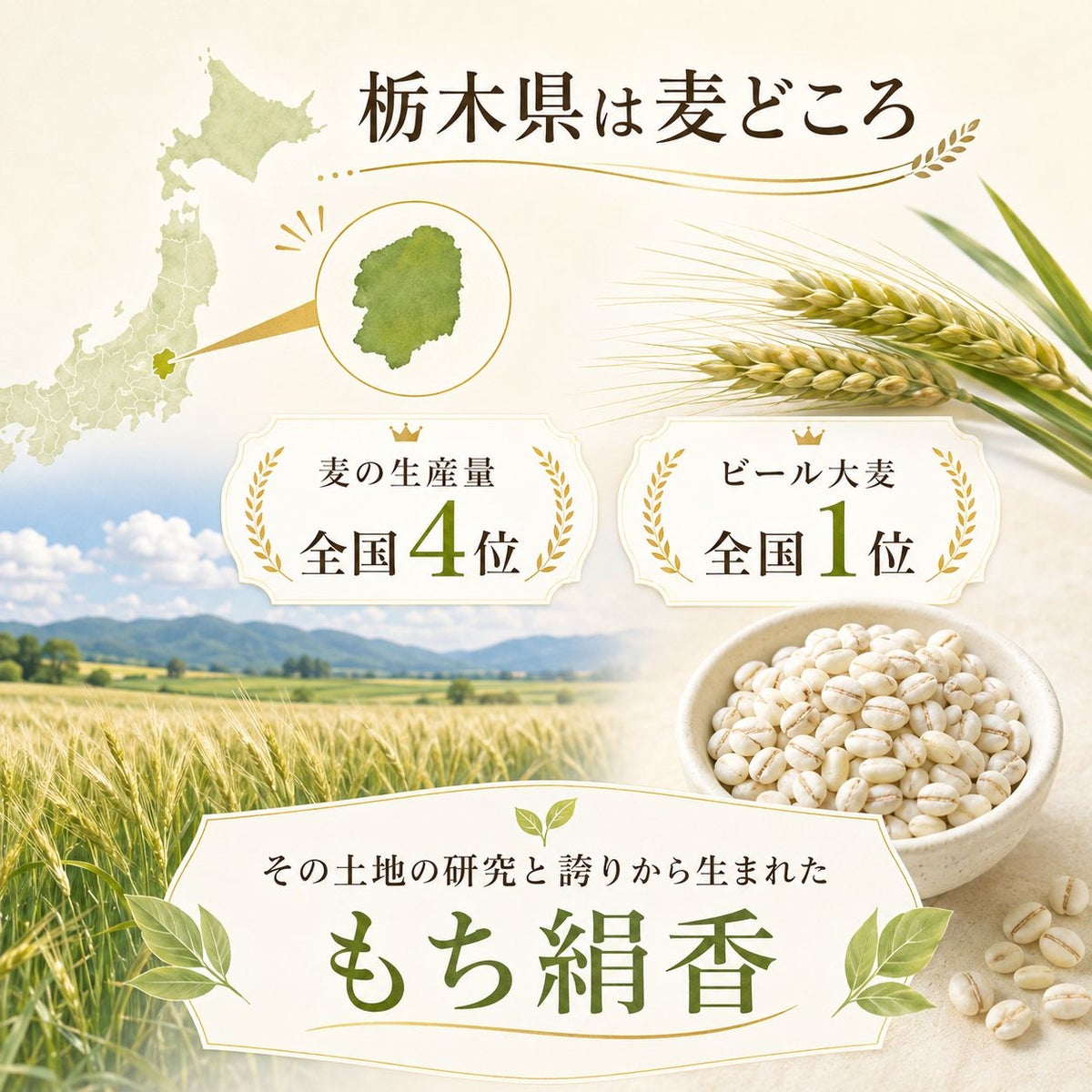  もち麦 もち絹香 （栃木県産） 500g