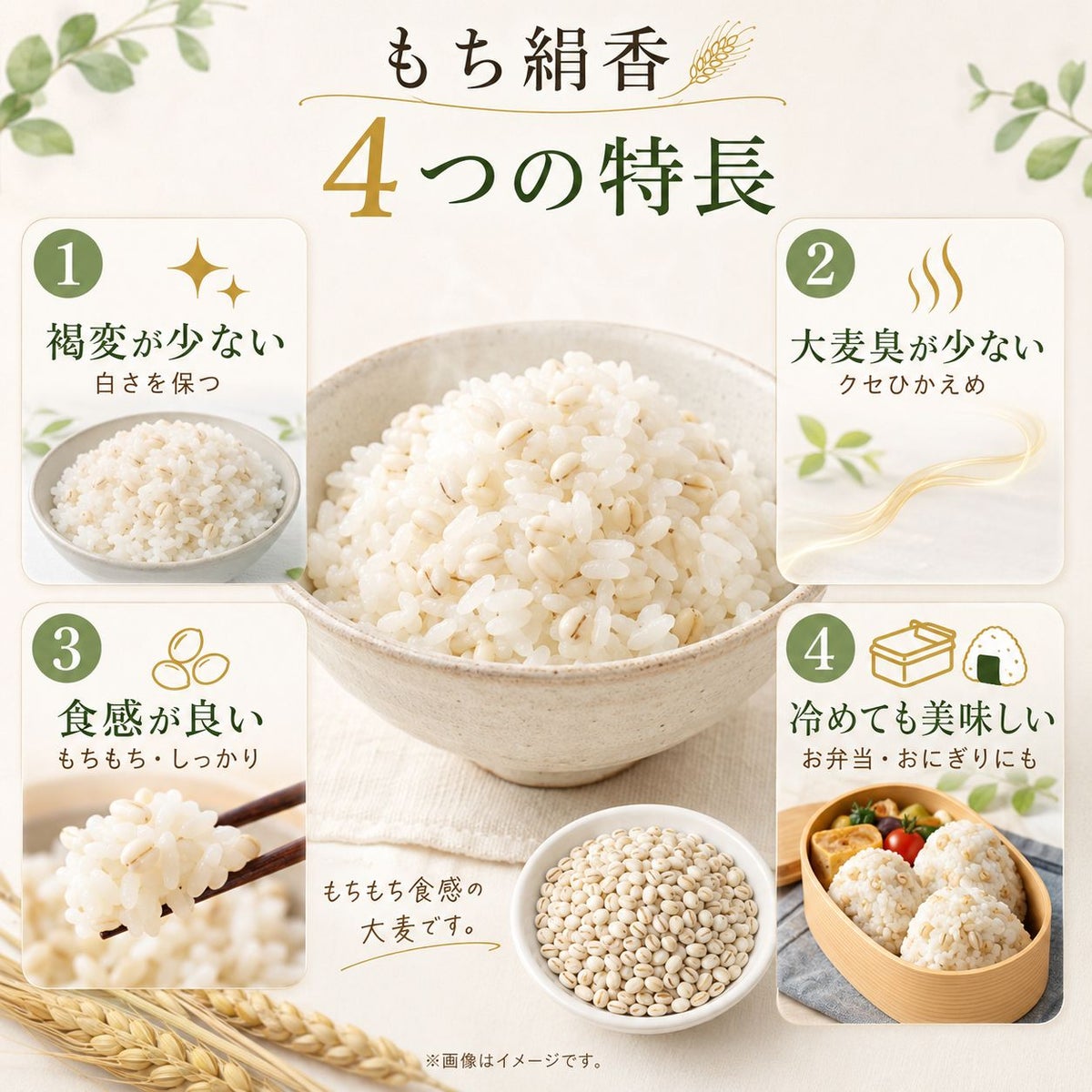  もち麦 もち絹香 （栃木県産） 500g