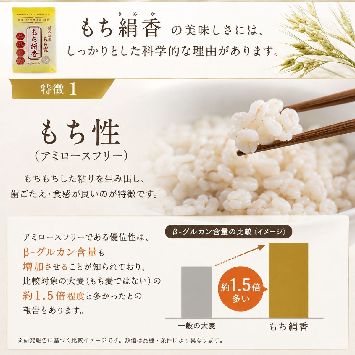 もち麦 もち絹香 （栃木県産） 500g