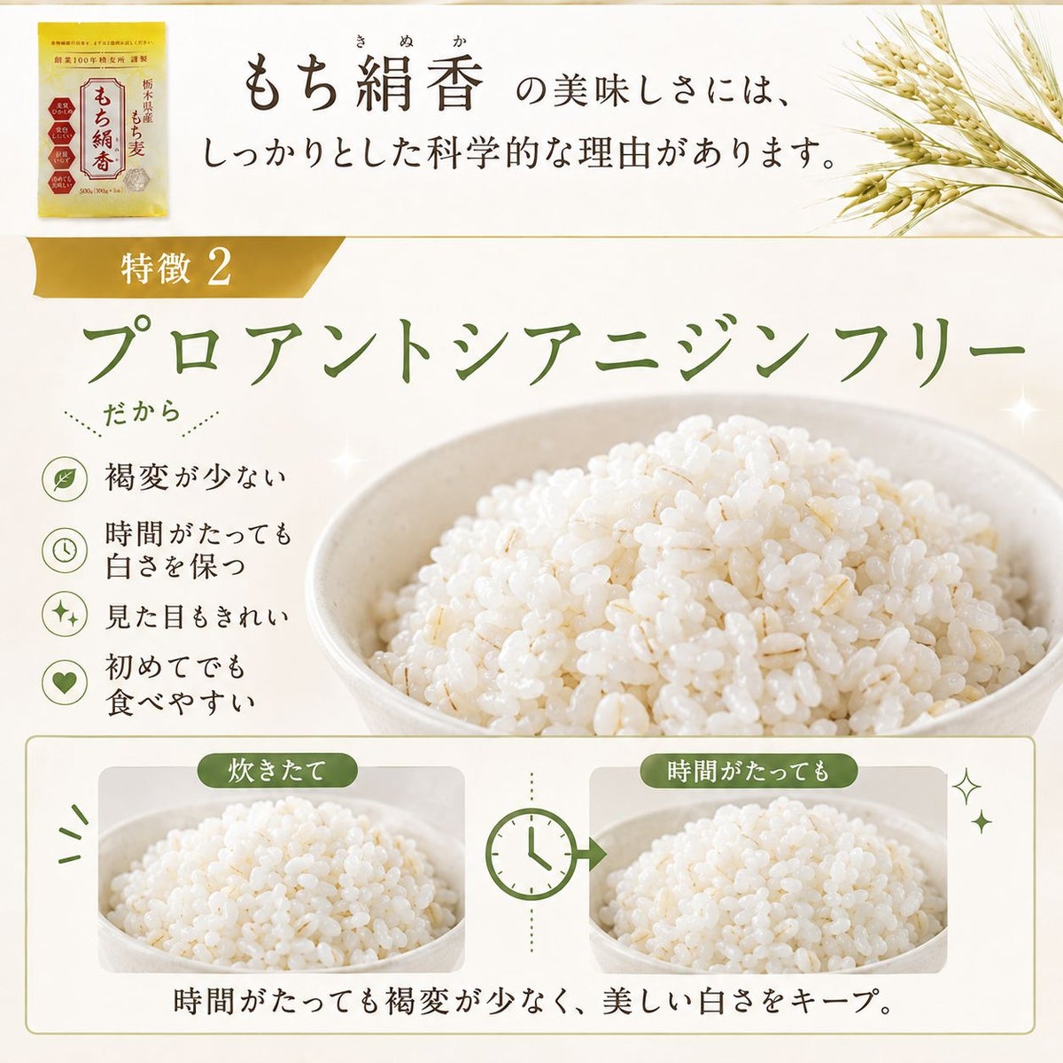  もち麦 もち絹香 （栃木県産） 500g