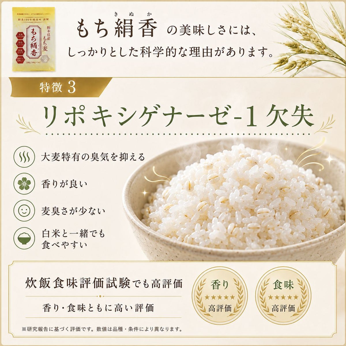  もち麦 もち絹香 （栃木県産） 500g
