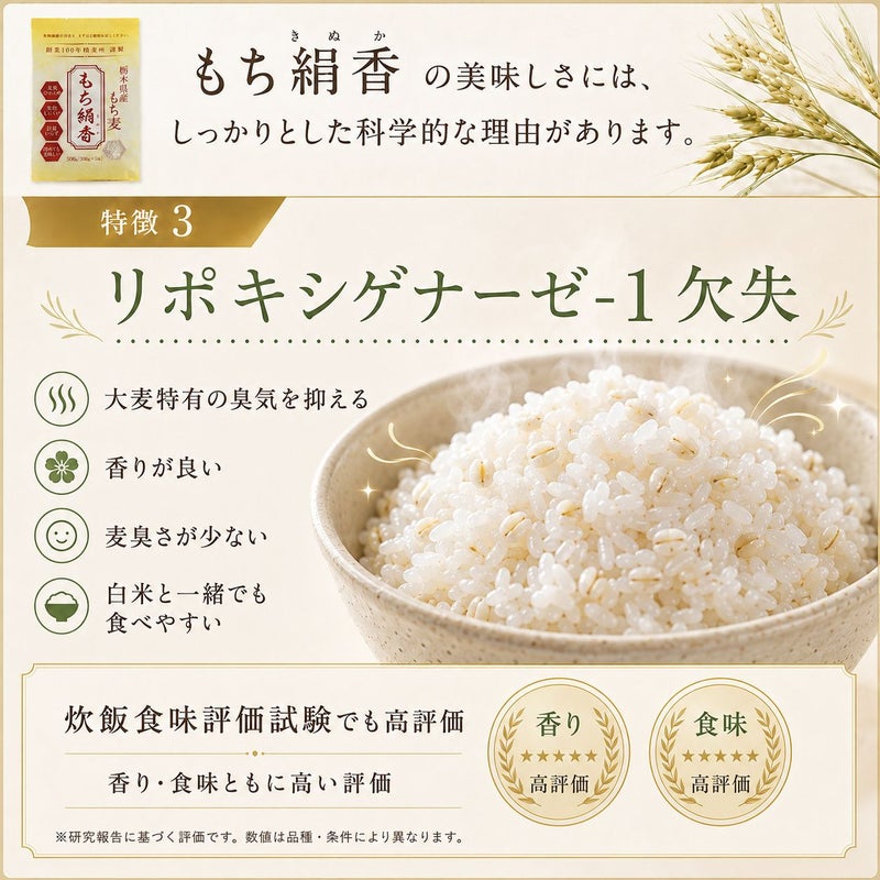  もち麦 もち絹香 （栃木県産） 500g