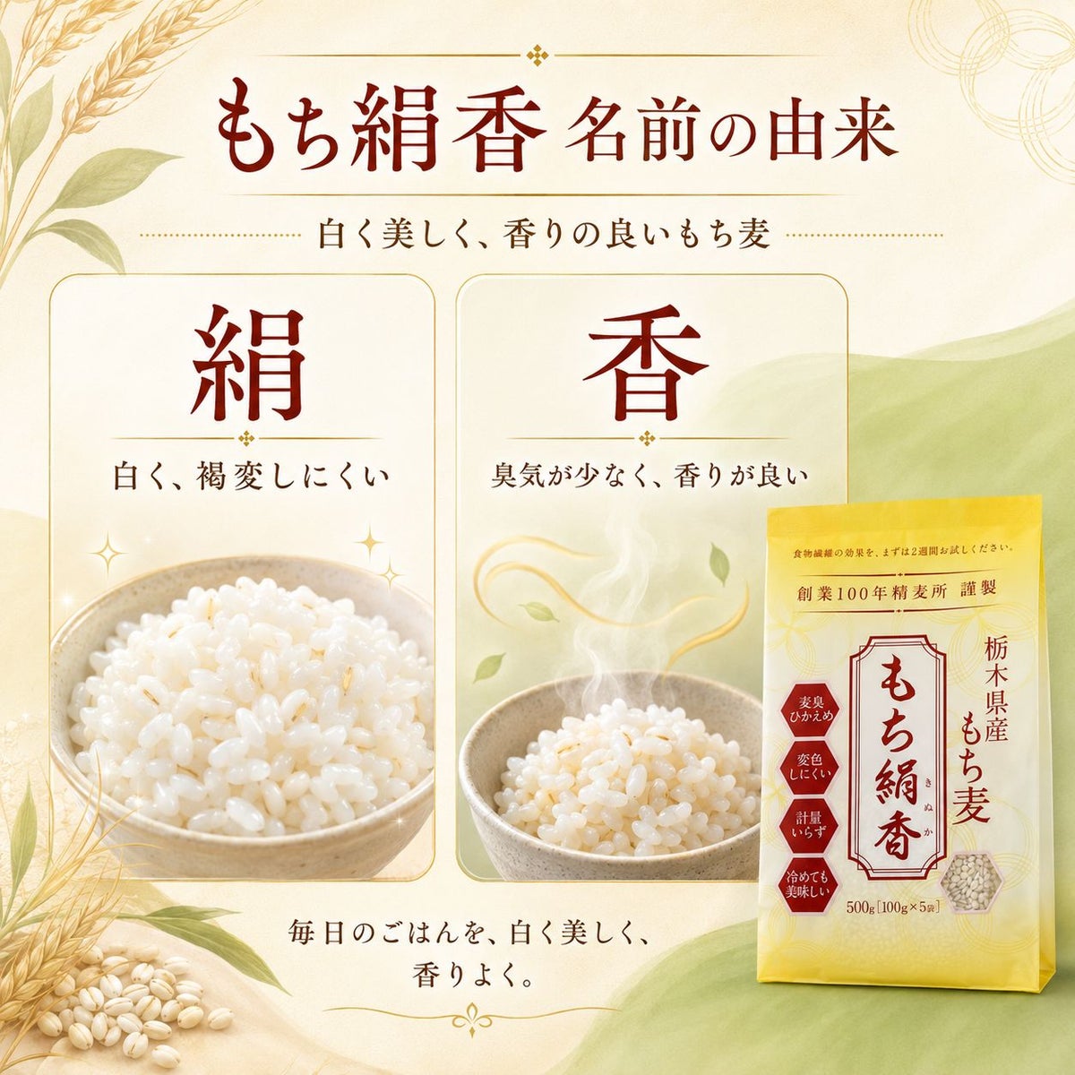  もち麦 もち絹香 （栃木県産） 500g