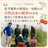 北海道当麻町産 有機トマトジュース（王様トマト・無塩）