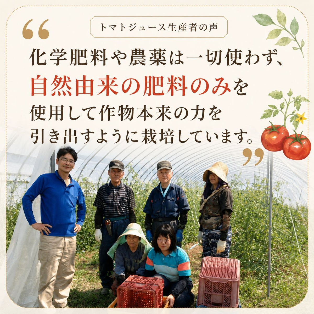 北海道当麻町産 有機トマトジュース（王様トマト・無塩）