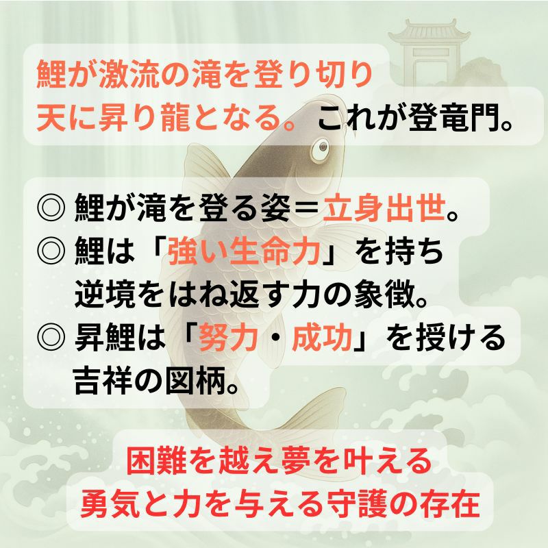 大昇鯉 長江桂舟