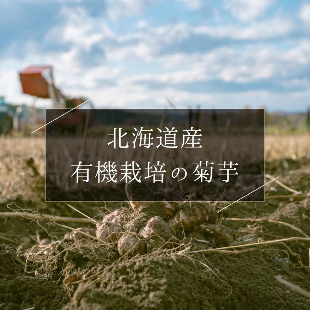 菊芋美人茶