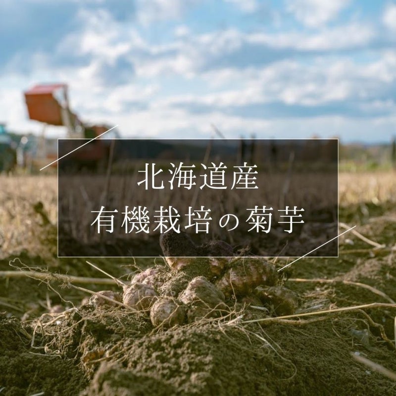 菊芋美人茶